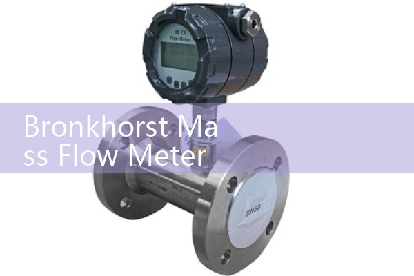 E+h electromagnetic flowmeter